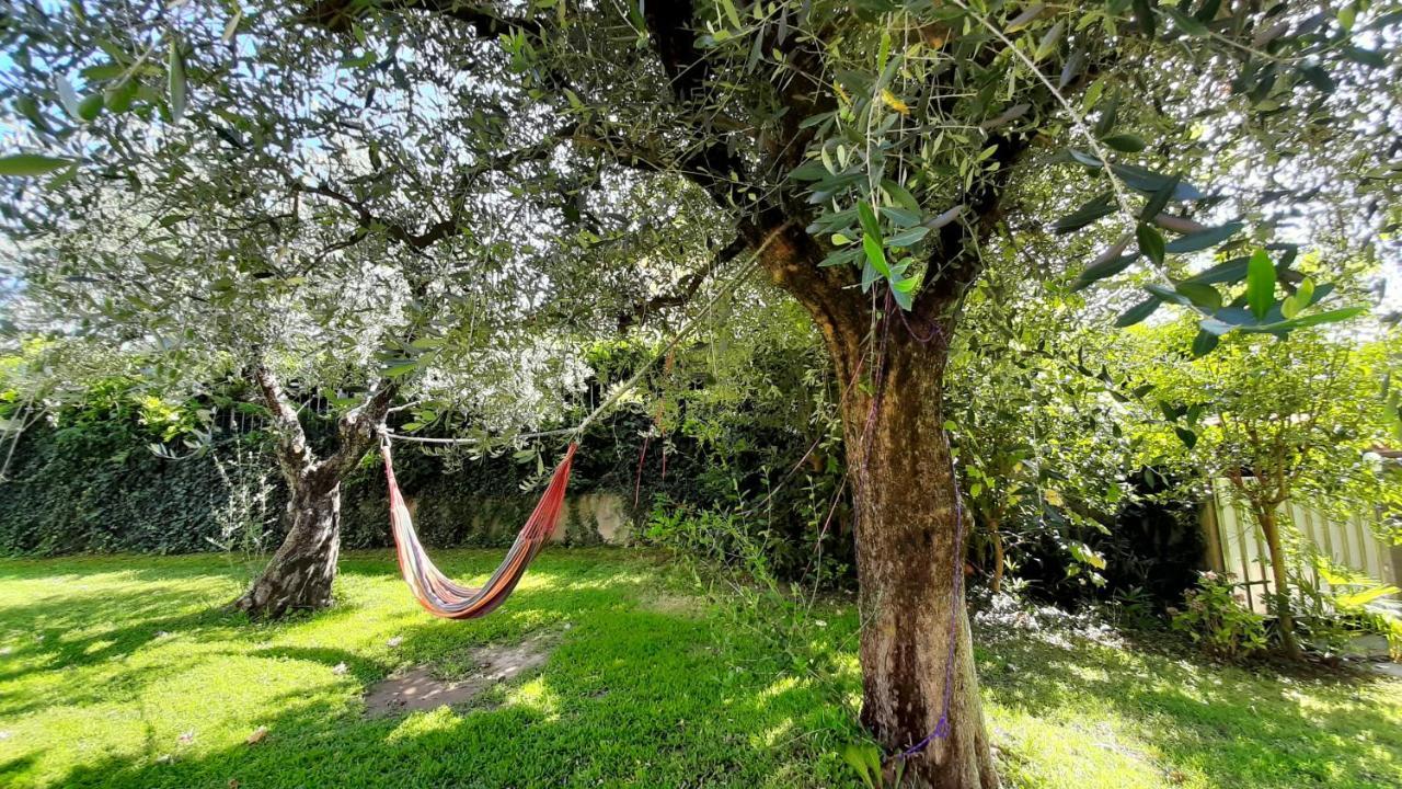 Ferienwohnung Le Palme Sona Exterior foto